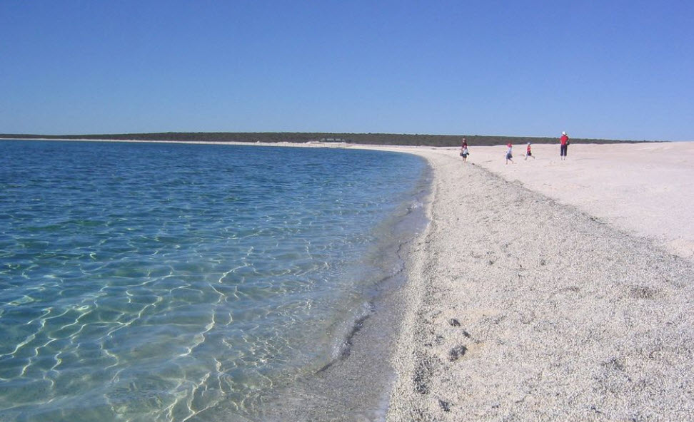 Shell Beach, Australia